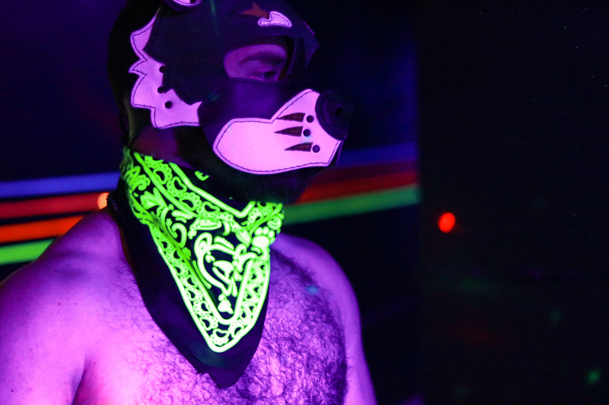 Shirtless male model in green leather dog hood wearing neon green animal bandana, lit by blacklight and club lighting. 